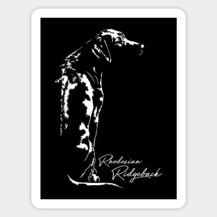 Rhodesian Ridgeback dog portriat dog mom gift Sticker